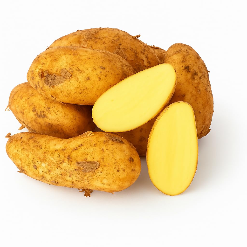 Kartoffeln Speisekartoffeln Annabelle 1-25 KG frische Ernte 2025 festkochend Salatkartoffel zum Grillen für Kartoffelsalat, Pellkartoffeln, Bratkartoffeln, Pommes Frites, Butterkartoffeln (10)