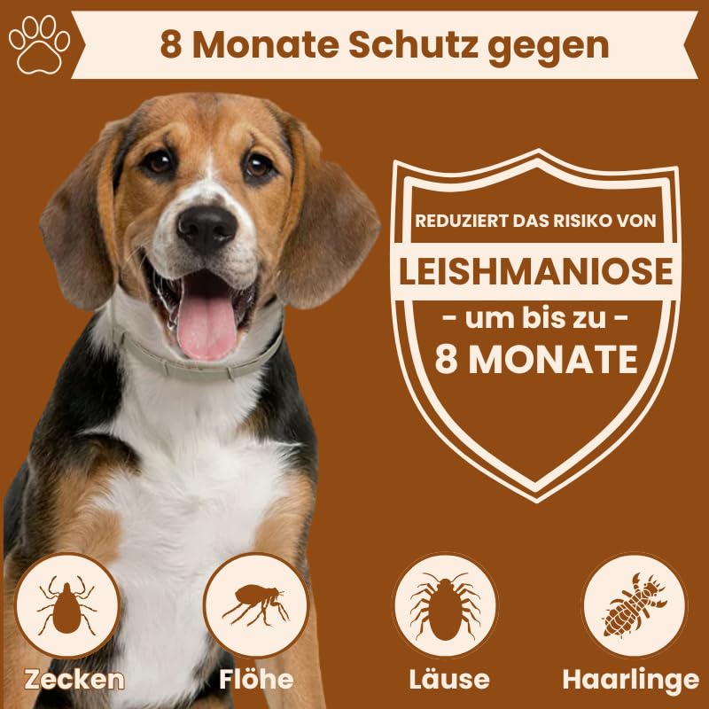 Zeckenhalsband für Hunde - 100% Natürliche Inhaltsstoffe - bis zu 8 Monate wirksamer Schutz gegen Zecken, Flöhe und Läuse - Universell passend (1er Pack)