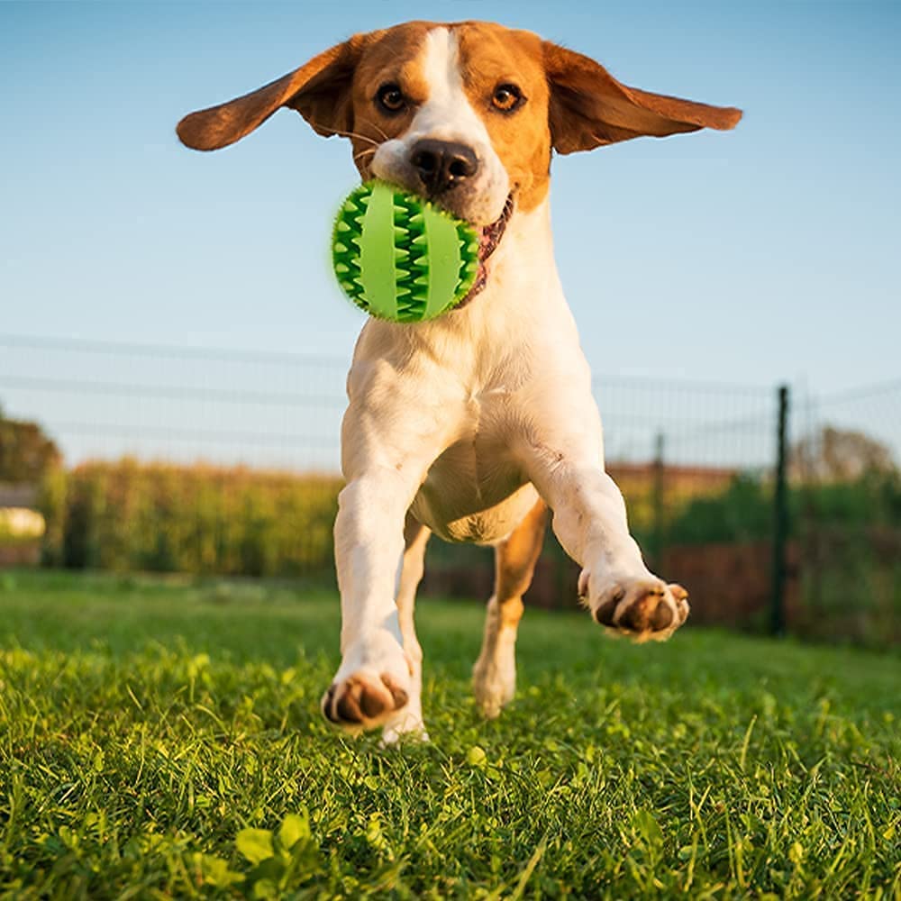 PETS EMPIRE Solid Rubber Dog Balls, Bite Resistant Bouncy Dogs Ball, Indestructable Pet Training Balls, Non- Toxic Pets Toy, Chew Toys Large Bounce Ball for Dogs, Puppies - 1N (Color May Vary) (B09L8F3MN2) Amazon Price History, Amazon Price Tracker