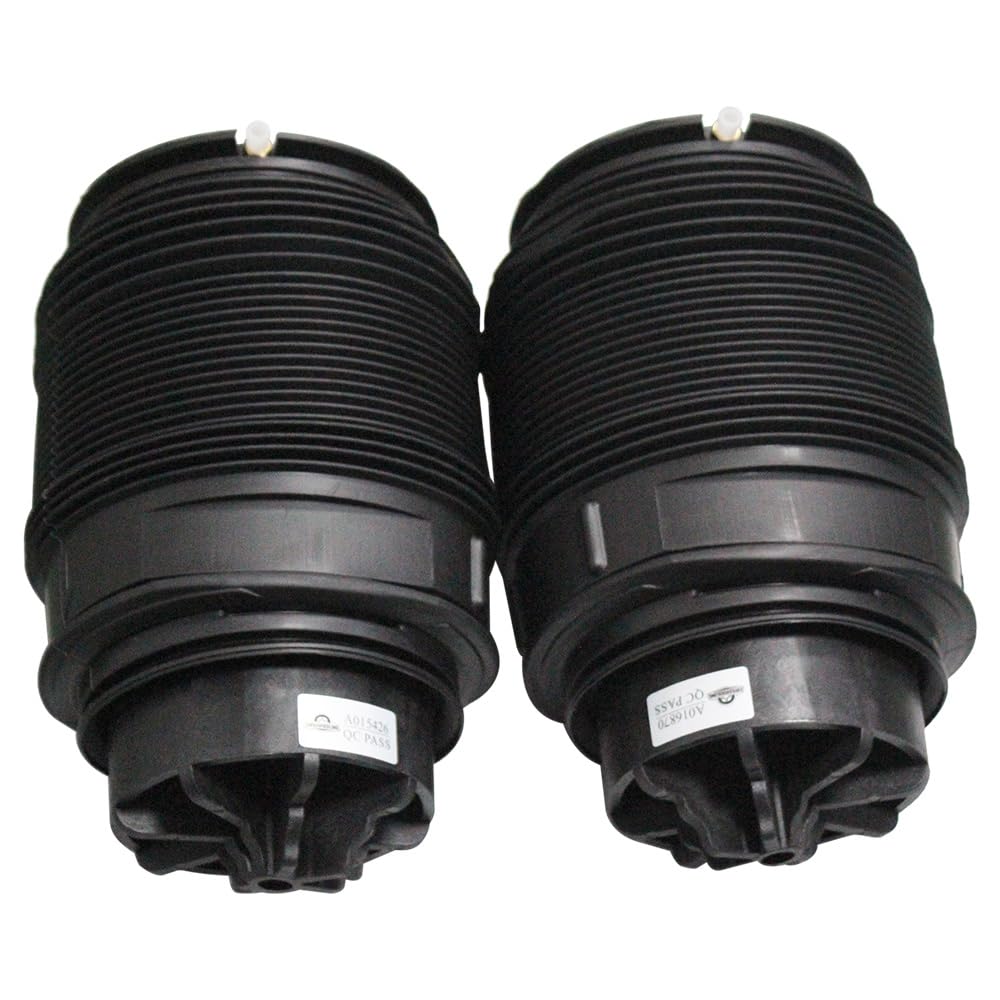 2123200825 Sospensioni pneumatiche posteriori*2 compatibili con Mercedes CLS550 CLS63 AMG con Sedan 2012-2015 con Airmatic, compatibile con Mercedes E300 con Sedan 2012-2013 con Airmatic
