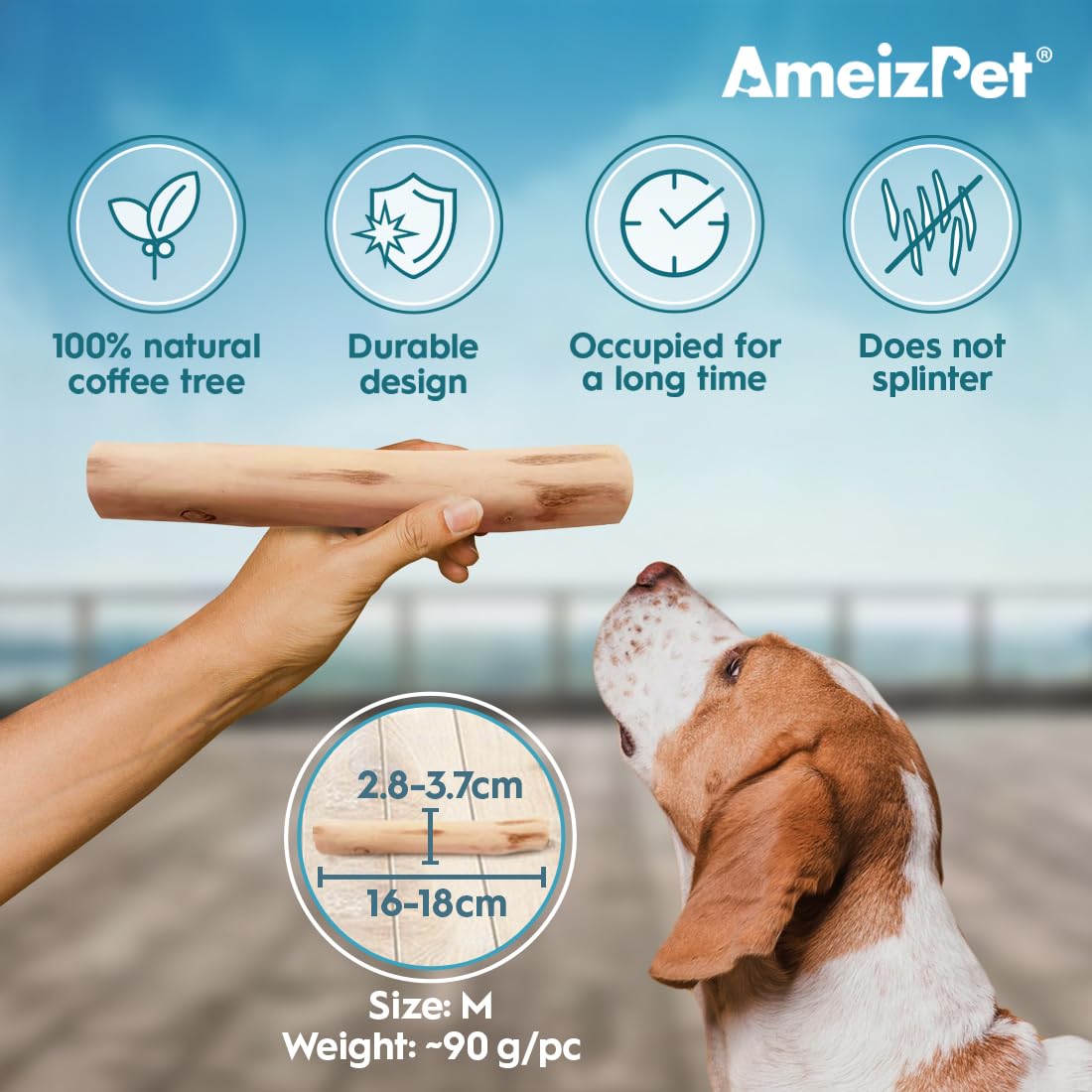 AmeizPet Coffee Tree Stick for Dog Chew Toy Coffee Tree Root Dogs Chew - Durable Dog Wooden Chewing Stick, M Size - Image 2