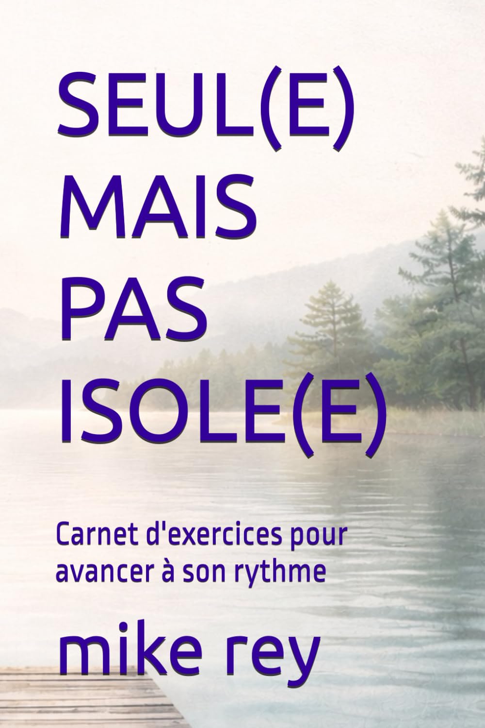 SEUL(E) MAIS PAS ISOLE(E): Carnet d'exercices pour avancer à son rythme
