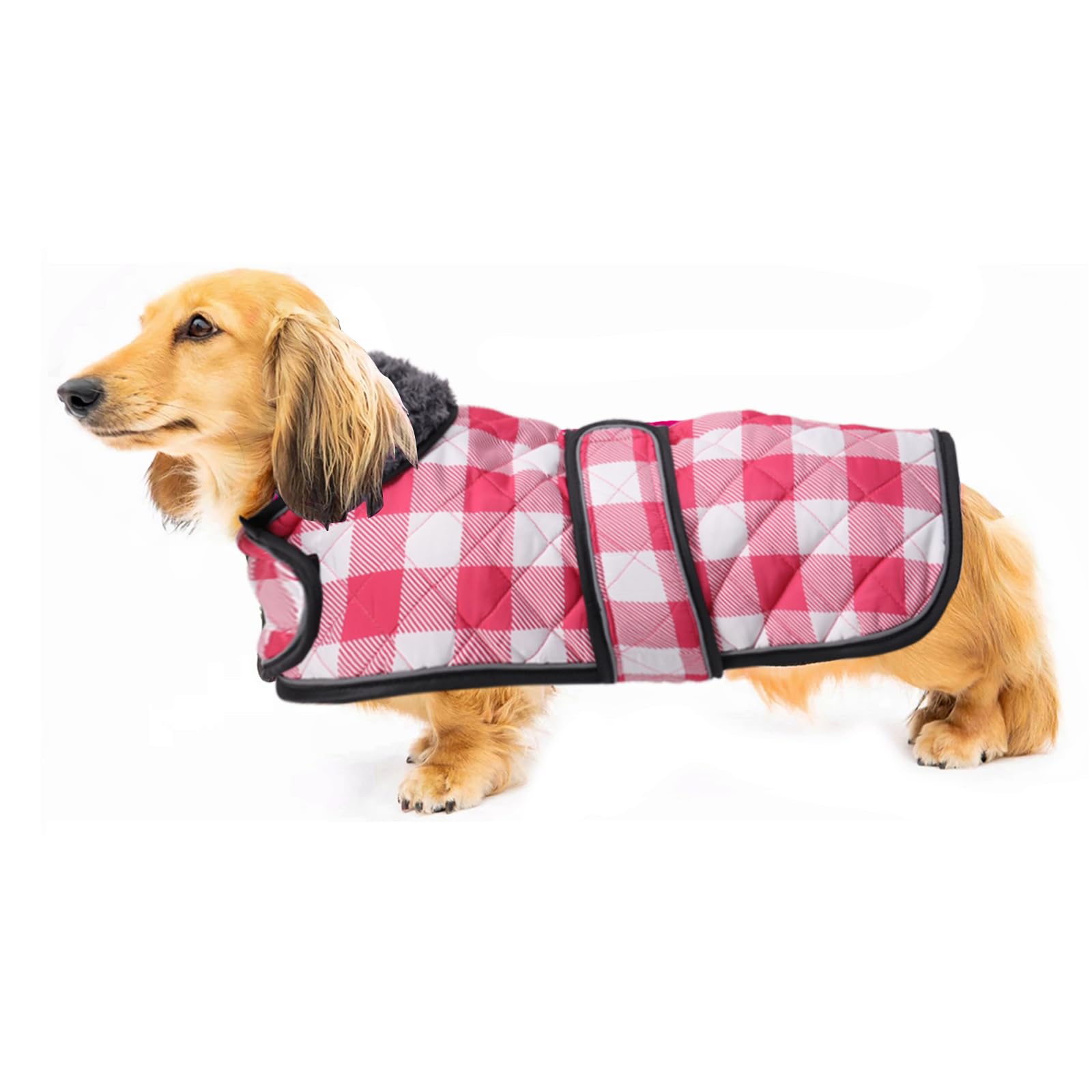 Geyecete Waterproof Warm Thermal Quilted Dachshund Coat with warm fleecy lining inside,Outdoor Dog Apparel with Adjustable Bands for Small,Medium Dog-Pink-XS