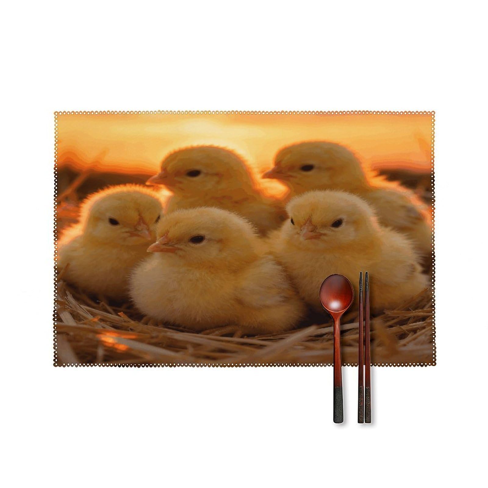 A Brood of Chickens Placemats Washable Canvas Place Mats Decoration Placemat for Dining Table Easy to Clean Tables Mat Set of 6 for Kitchen Dining Room Coffee Table