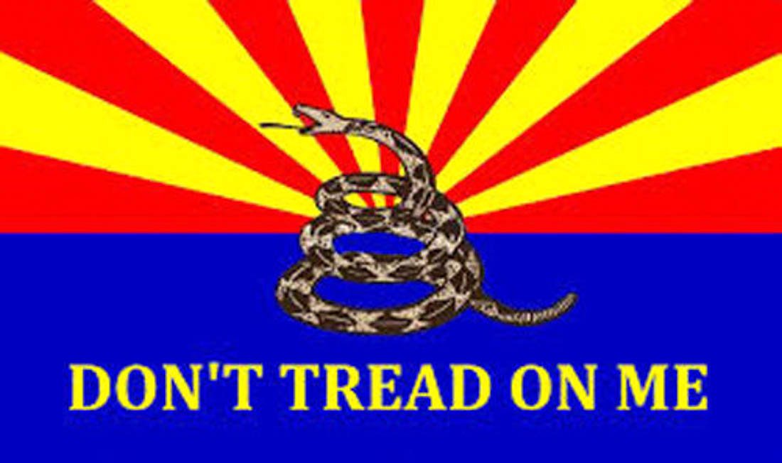 Bandiera Florida Bandiera Gadsden Tea Party 3x5 Piedi "Don't Tread On Me" Con Serpente A Sonagli, In Poliestere 100%, Stampata A Colori Vivaci Bandiera Forza Nuova - Foto 8