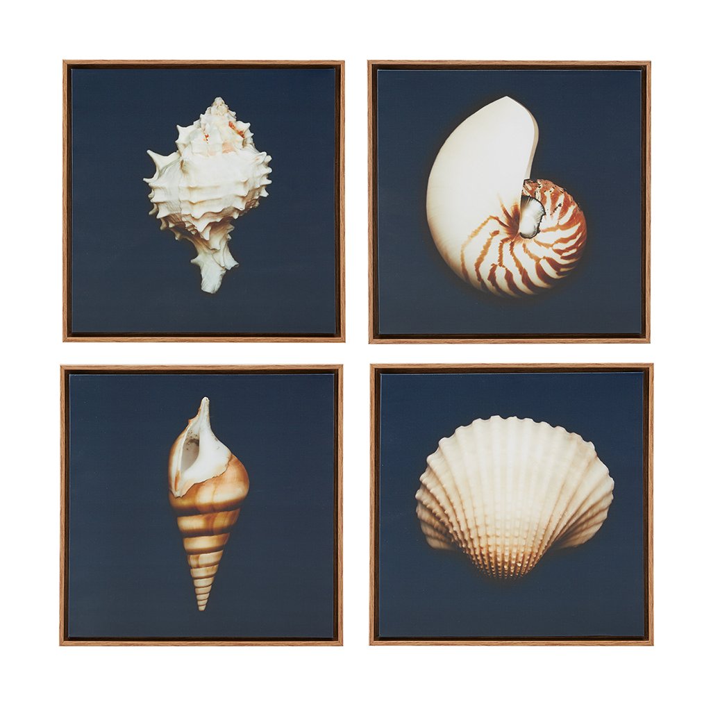 Madison Park, Ocean Seashells 4 Piece Set Wall Art Framed Canvas, Modern Coastal Design, Global Inspired Portrait Painting Living Room Accent Décor, Ivory, 12 x 12 Blue