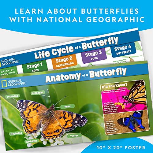image for National Geographic Butterfly Growing Kit - Butterfly Habitat Kit with