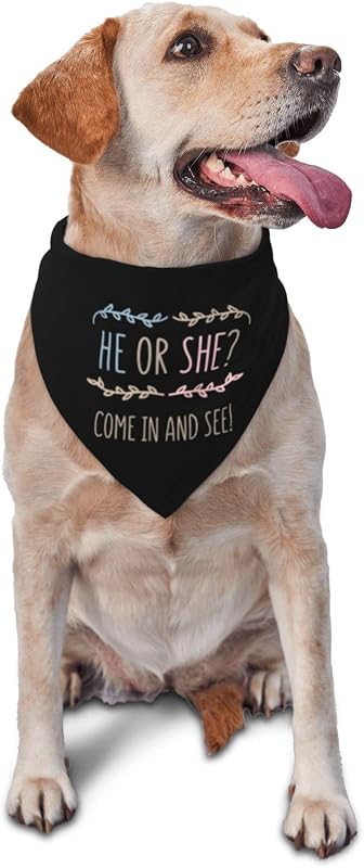 Bandana para Cães He Or She para Revelação de Gênero e Fotos vercosee (Preta)