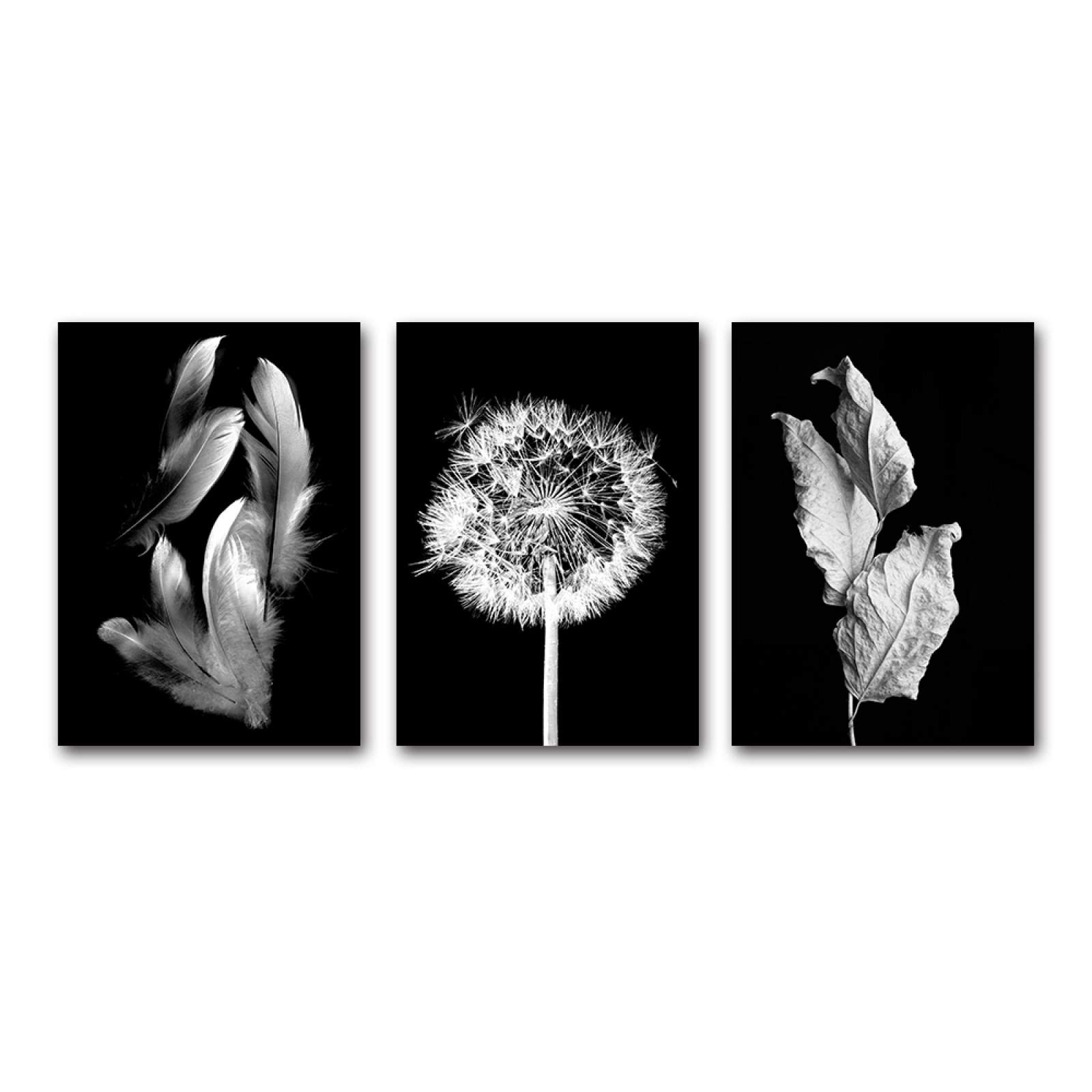 Tableau Noir et Blanc Pissenlit pour Salon | Créez un Espace Zen avec 3 Toiles Nature