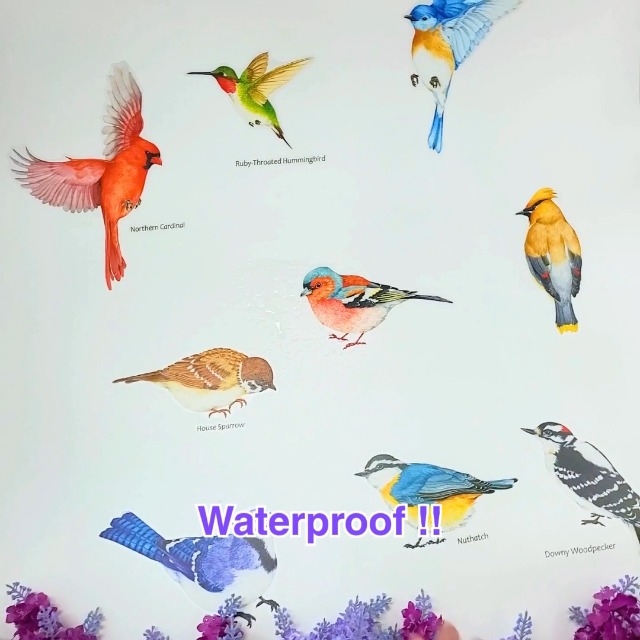 16 teiliges uccelli esotici adesivo da parete per cameretta bambino stanza pappagallo Tucan, multicolore, 2x 21x34cm
