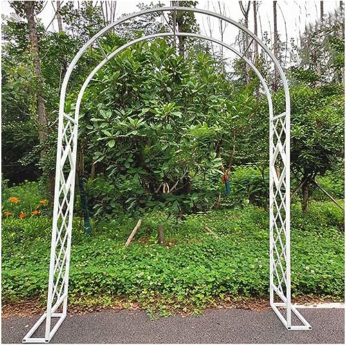 Arche pour plantes grimpantes extérieur résolvant le manque de support - 2