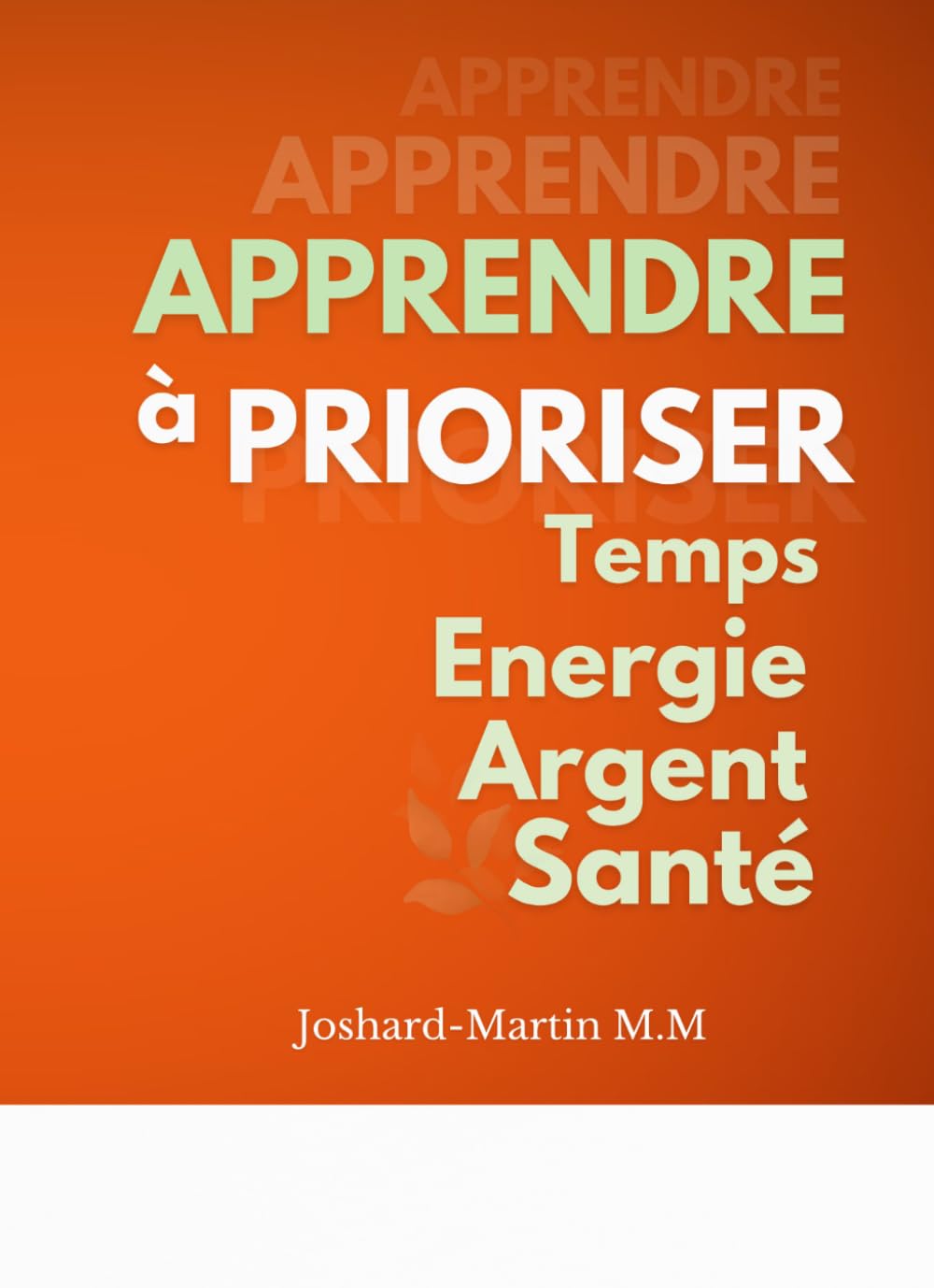 Apprendre à Prioriser: Temps, Energie, Argent et Santé