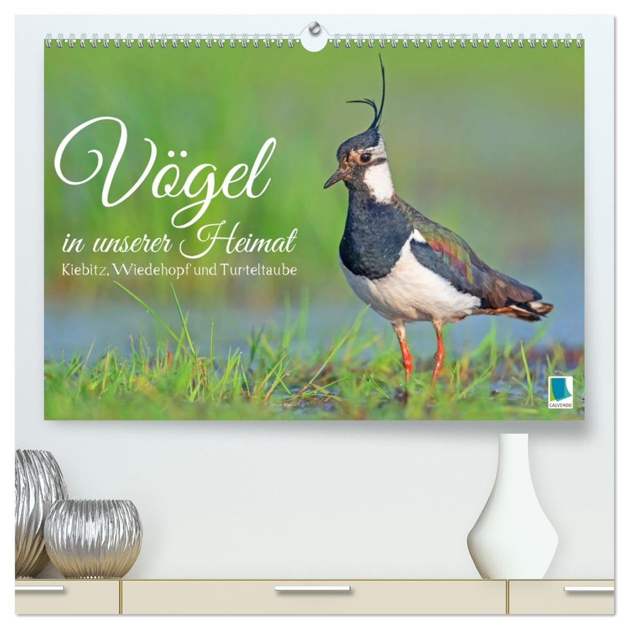Vögel in unserer Heimat: Kiebitz, Wiedehopf und Turteltaube (hochwertiger Premium Wandkalender 2026 DIN A2 quer), Kunstdruck in Hochglanz: ... Vogelfreundes höher schlagen (CALVENDO Tiere)
