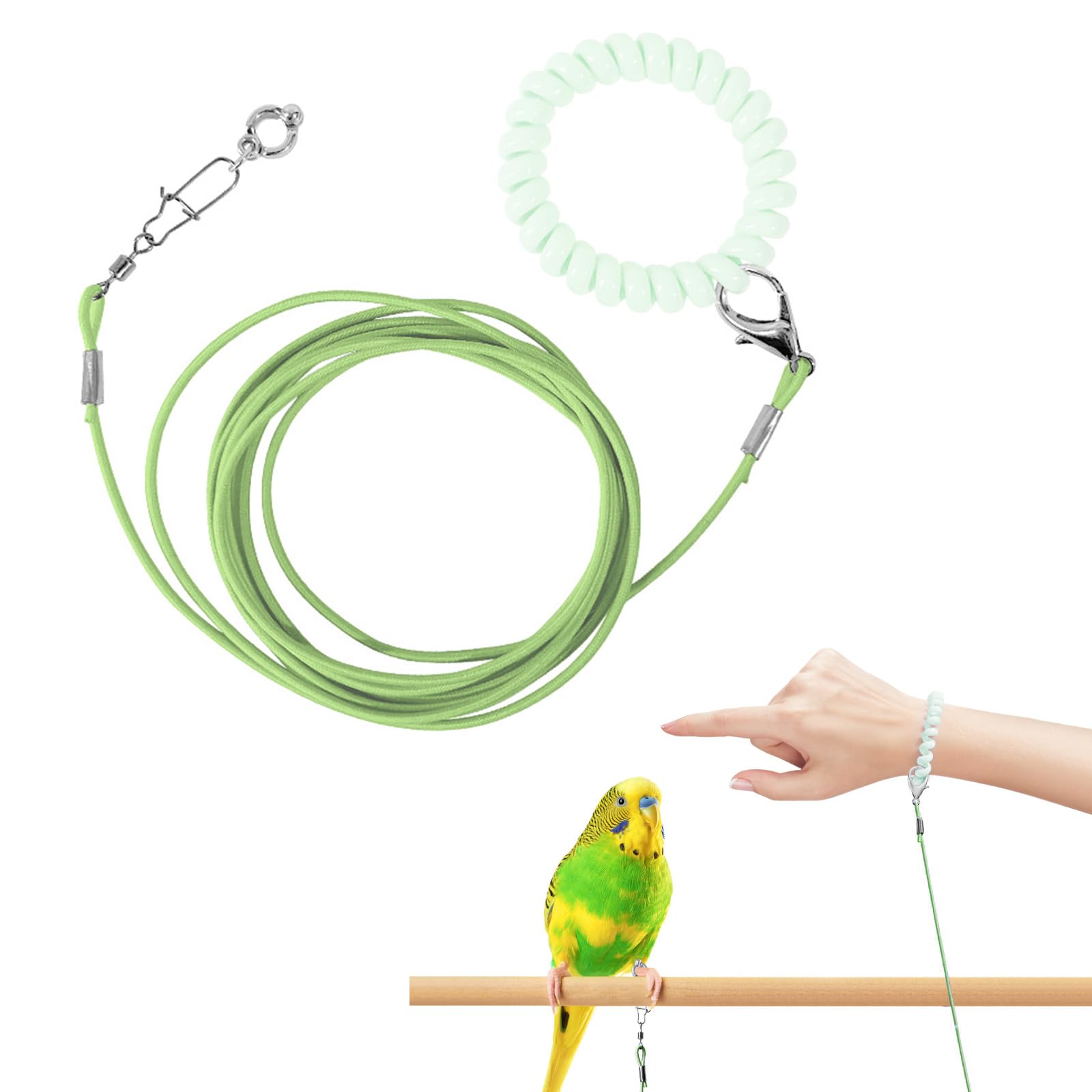 蜜を吸う二羽の鳥」 【フレームサイズ 52.5×41cm】 蜜を吸う二羽の鳥