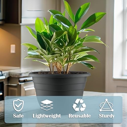 Miniatura 5 de Juego de 5 macetas de 10 pulgadas de diámetro exterior, macetas de 8.5 pulgadas de diámetro interior con orificio de drenaje, macetas de jardín