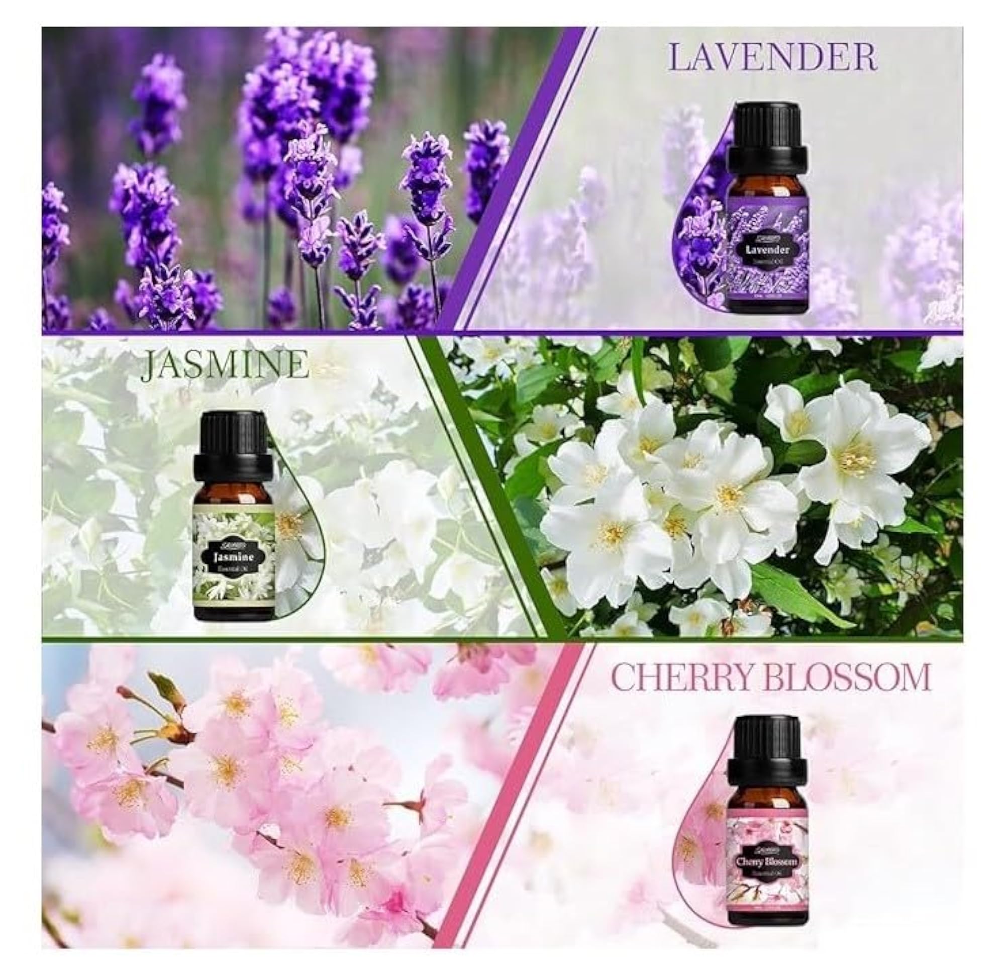 Dr. Cardio Aromas Essential Oils Pack, 5 x 15ml