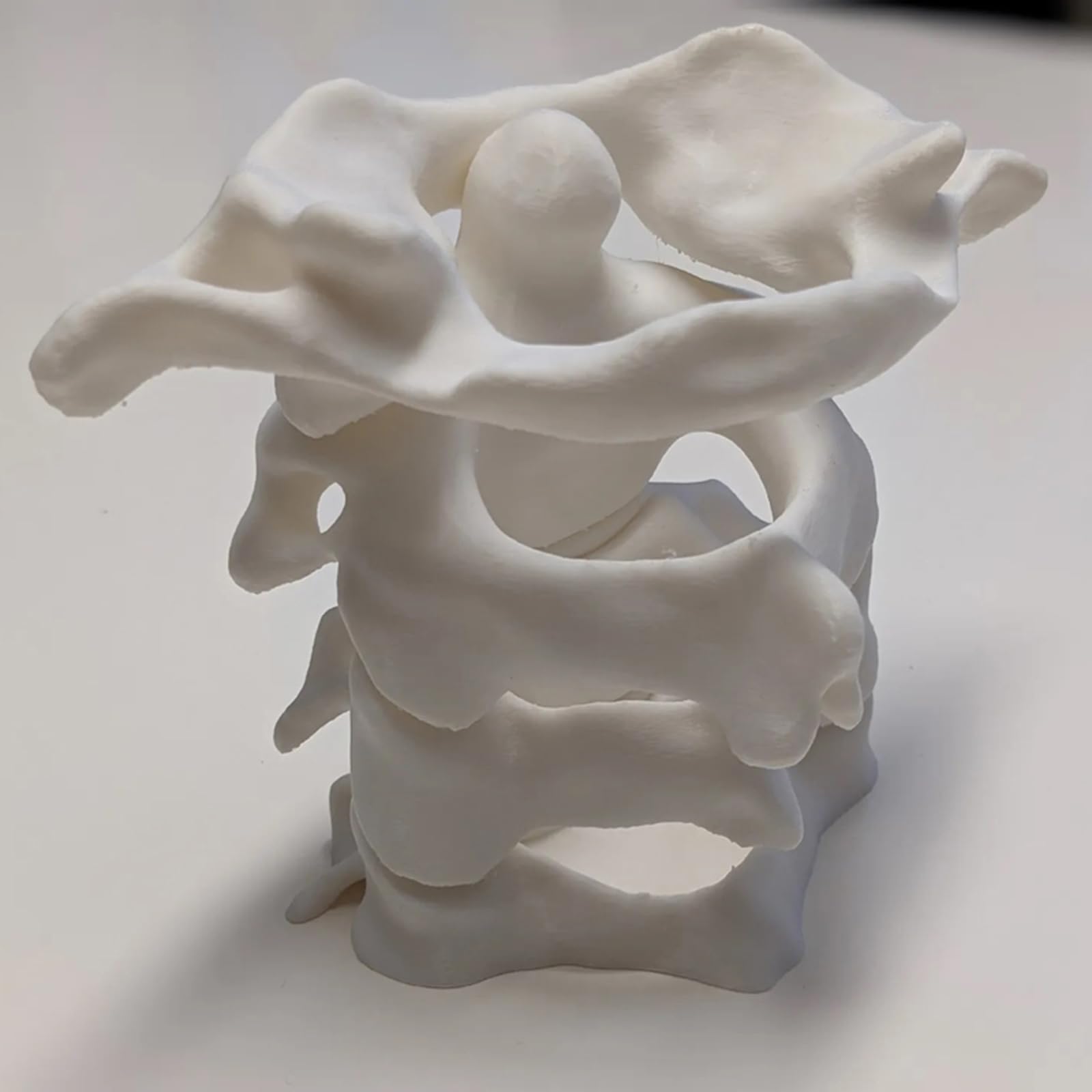 Portapenne a Colonna Vertebrale Stampato in 3D - Organizer da Scrivania per Penne - Regali per la Laurea in Medicina,Bianca,10cm