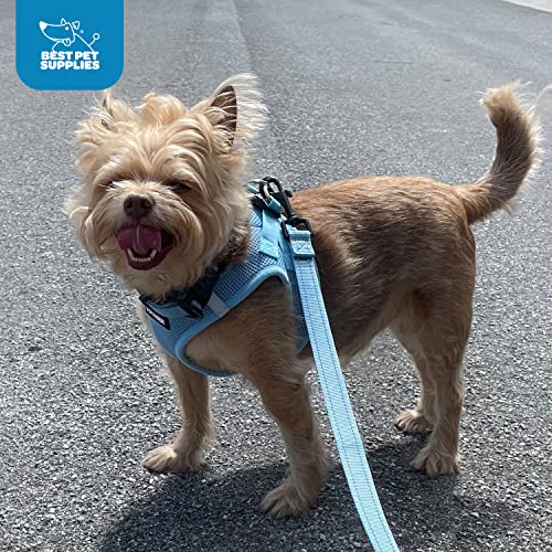 Image of Voyager Step-in Air All Weather Mesh Harness and Reflective 5 ft Dog Leash with Neoprene Handle for Small, Medium and Large Breed Puppies by Best Pet Supplies - Army Base, XXXS