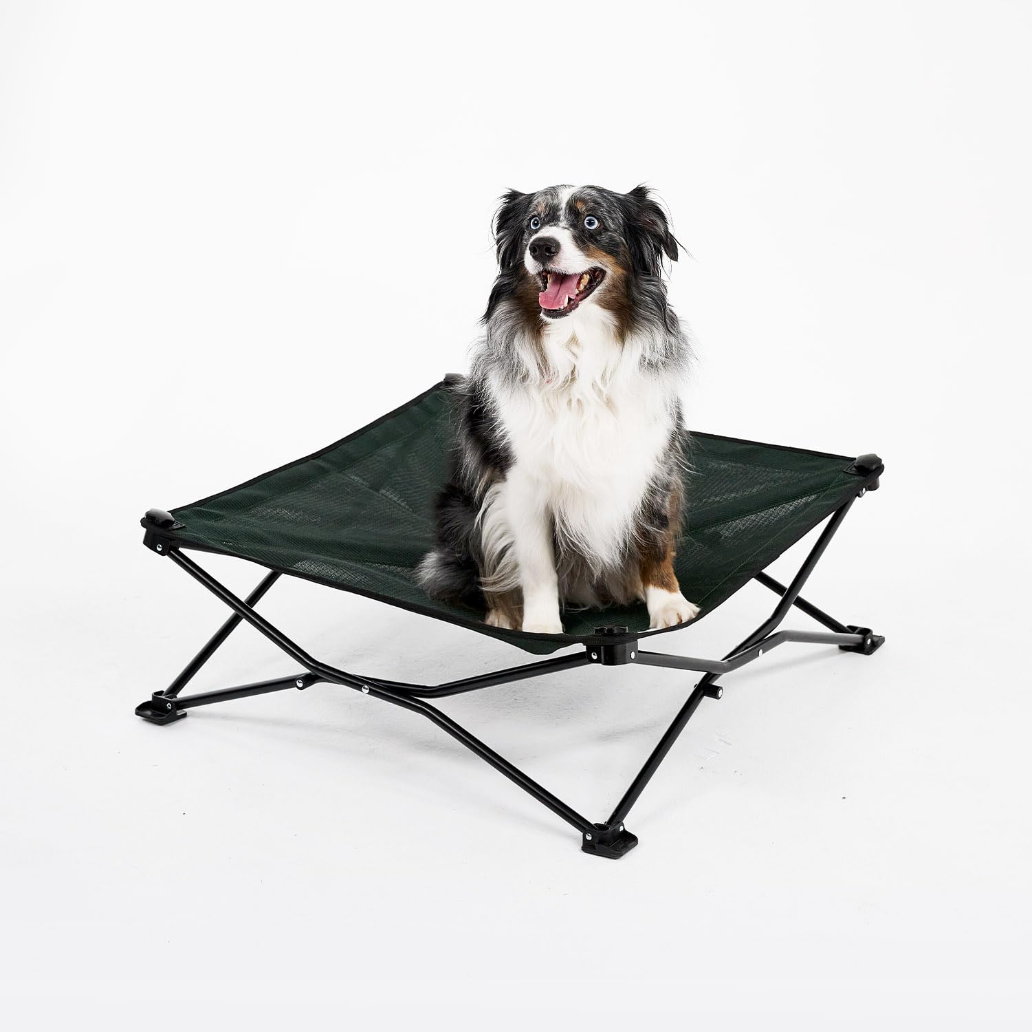 Amazon | Coolaroo On The Go 冷却式犬用ベッド、旅行&キャンプに