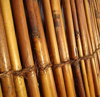 鵜殿産 葦 100本セット Amazon｜天然の葦のカーテン、日よけ 通気性 葦 すだれ、竹製