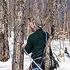 Butternut Mountain Farm Pure Vermont Maple Syrup, Grade A, Dark Color, Robu... #3