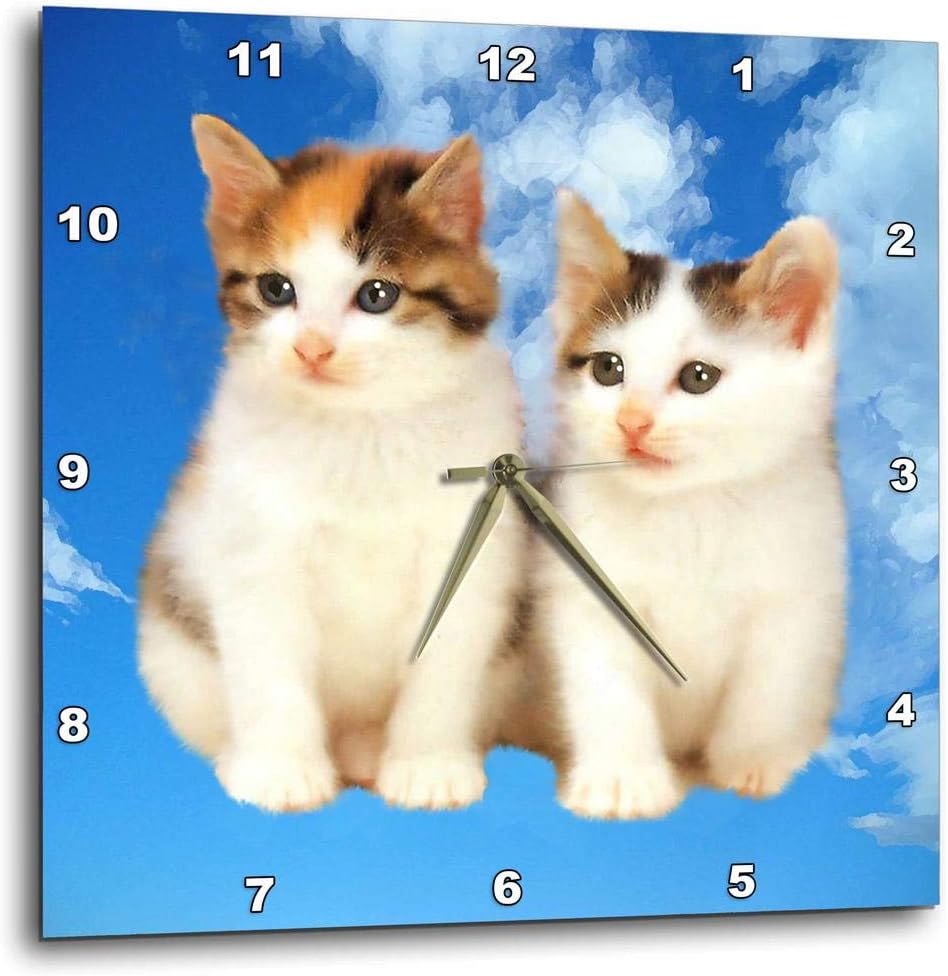 3dRose DPP_4335_1 Two Kittens Wall Clock, 10 by 10"