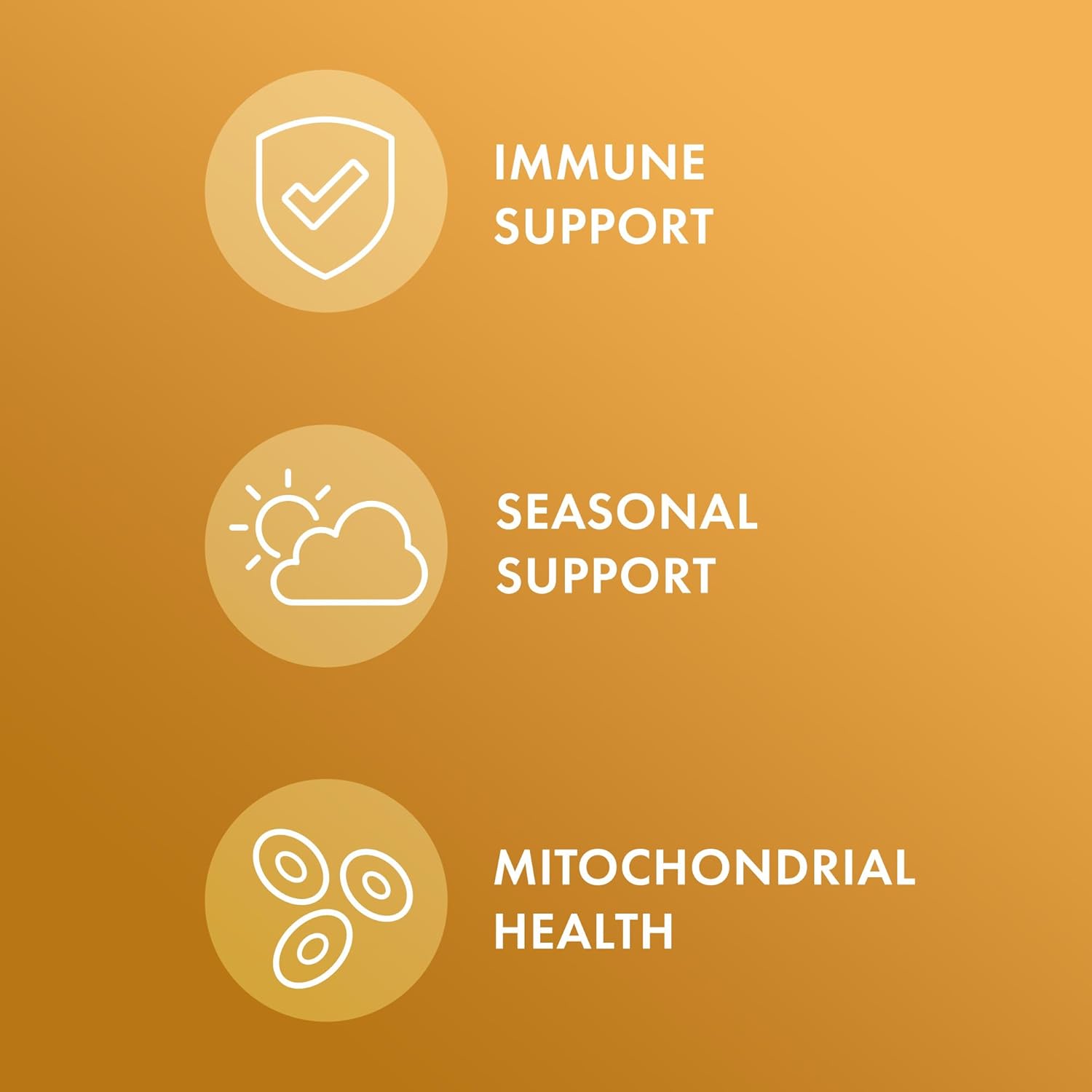 Dr. Mercola Organic Bee Propolis, 30 Servings (30 Capsules), Dietary Supplement, Supports Respiratory Health, Non-GMO, Certified USDA Organic - Image 5