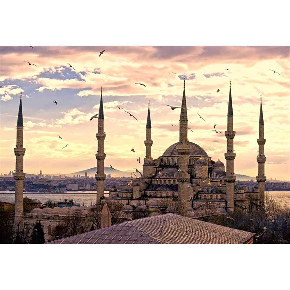 YongFoto 6x4ft Turkish Hagia Sophia Backdrop Seagull Sky Western Famous Cathedral City Architecture Photography Background Holidays Travel Themed Party Decor Kids Adult Portrait Photo Studio Props