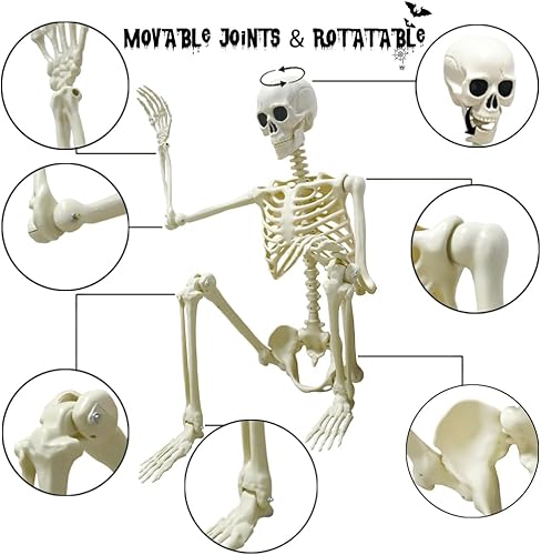 Miniatura 4 de LUKBERA Decoraciones de esqueleto de Halloween, esqueleto de tamaño real de 5.4 pies con esqueleto de perro, huesos humanos de plástico de tamaño
