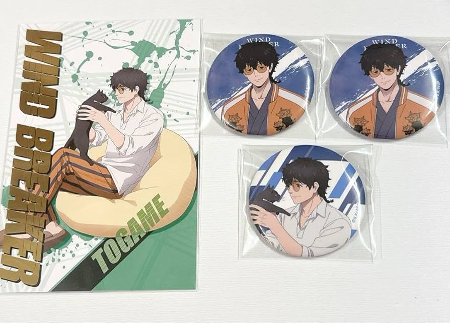 Amazon.co.jp: WINDBREAKER ウィンドブレイカー ウィンブレ