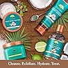 Tree Hut 24 Hour Intense Hydrating Shea Body Butter Tropical Mango, 7oz, Moisturizer with Pure Shea Butter for Nourishing Essential Body Care