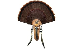 Easy to Assemble Trophy Mount H.S. Strut Three Beard Turkey Fan Plaque...