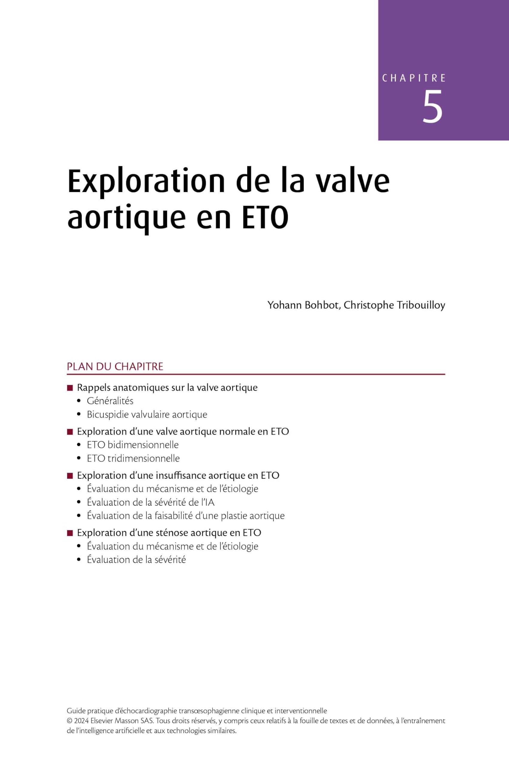 Guide pratique d'échocardiographie transoesophagienne: clinique et interventionnelle