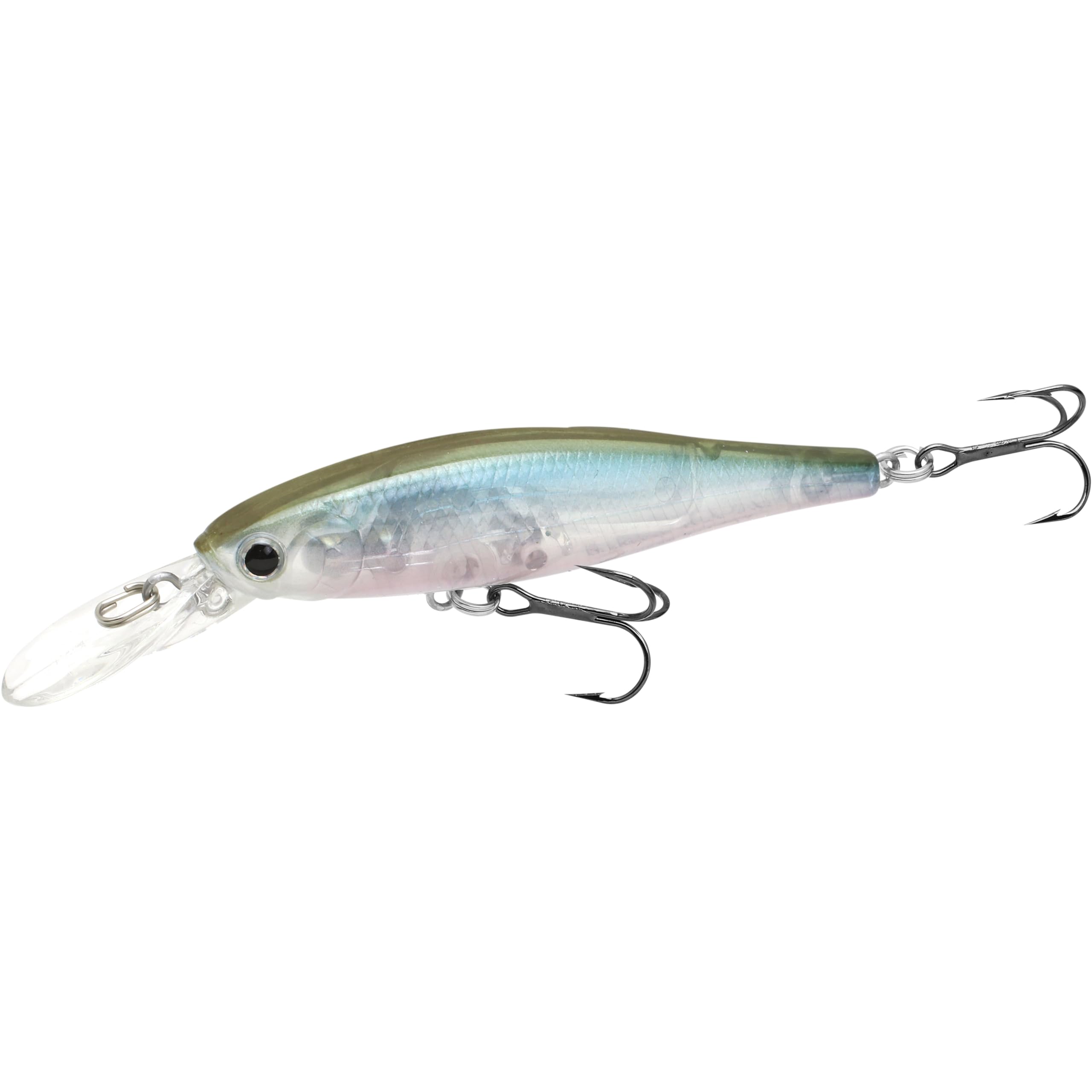 Amazon.co.jp: ラッキークラフト ビーフリーズ 65LB WT-SP サス