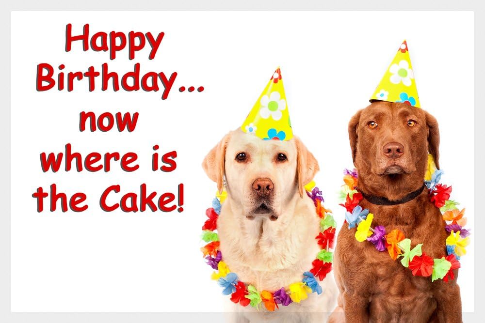 images Happy Birthday Yellow Lab Image chocolate brown labrador and golden yellow labrador dog funny fridge magnet happy birthday gift