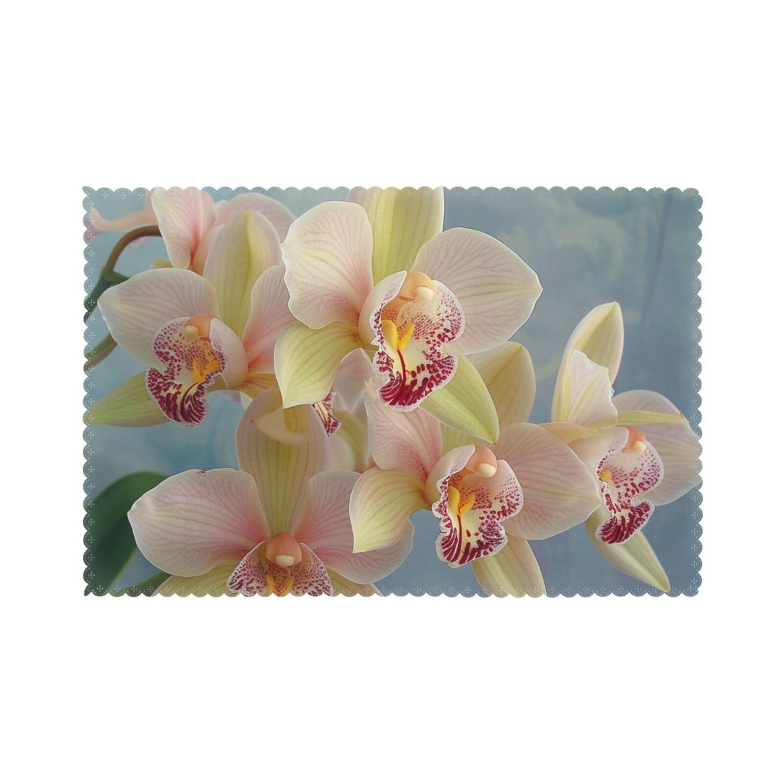 Orchids Printed Placemat Heat Resistant Place Mats Set of 6 PCS Washable Kitchen Table Mats, 12x18 Inch