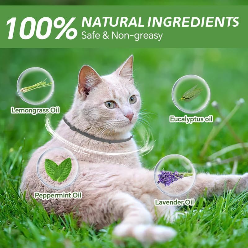 Miniatura 3 de Woyamay Paquete de 4 collares antipulgas para gatos, collar luminoso para pulgas de gato, prevención segura y natural de pulgas y garrapatas para