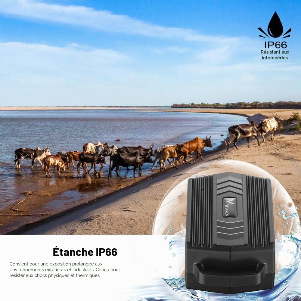 Collier GPS TK935 pour Chien - Traceur sans Limitation de Distance Sans Abonnement - Batterie Rechargeable 3000mAh - Suivi en Temps Réel pour Chiens, Vaches, Moutons