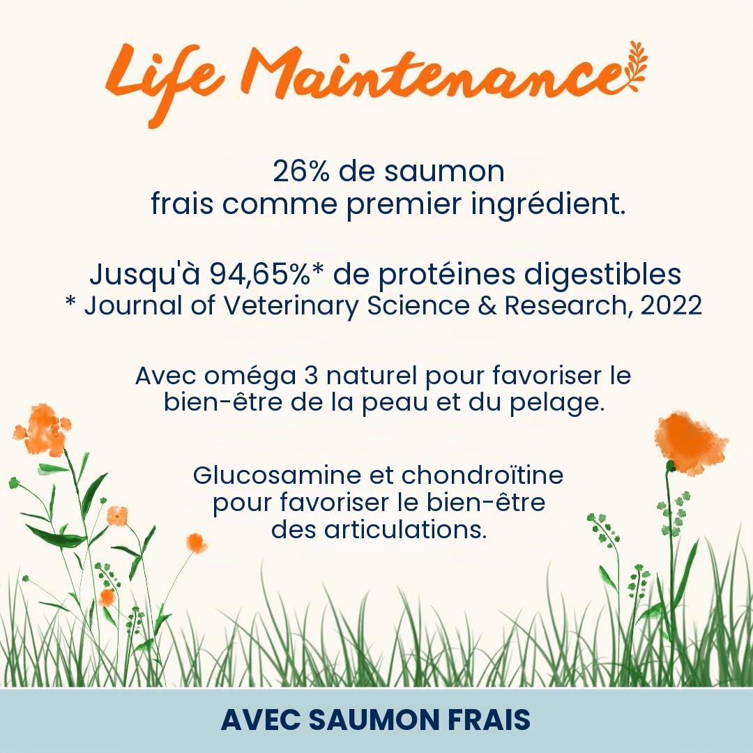 Almo Nature Holistic Maintenance L Dog. Croquettes pour Chiens de Grande Taille avec Saumon Frais. 12 Kg