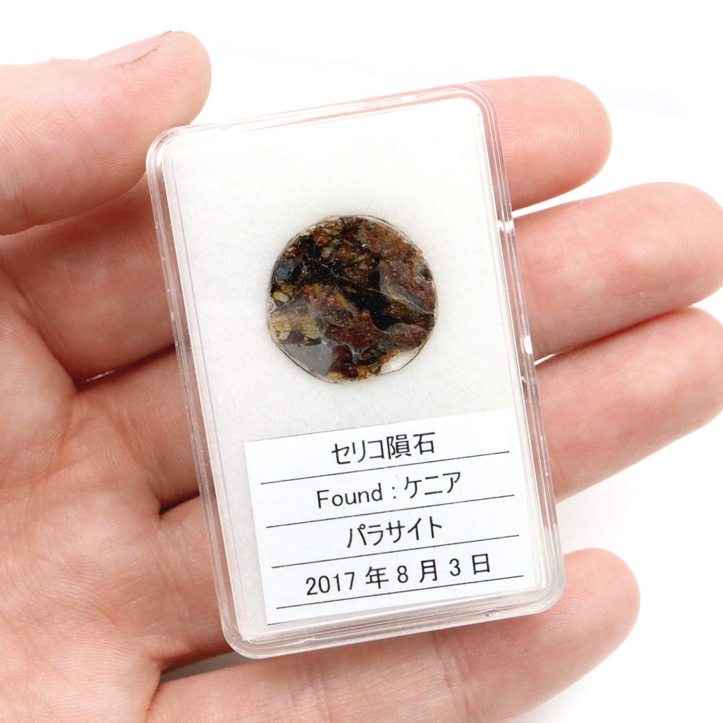 Amazon.co.jp: [GOLD STONE] パラサイト隕石 ケニア セリコ産 重量1.0g 