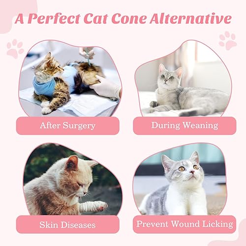 Miniatura 10 de VavoPaw Traje de recuperación de cirugía para gatos, camisa de recuperación quirúrgica transpirable para heridas abdominales, enfermedades de la