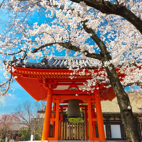 Niigata, Harper Rems & Mindful Changes