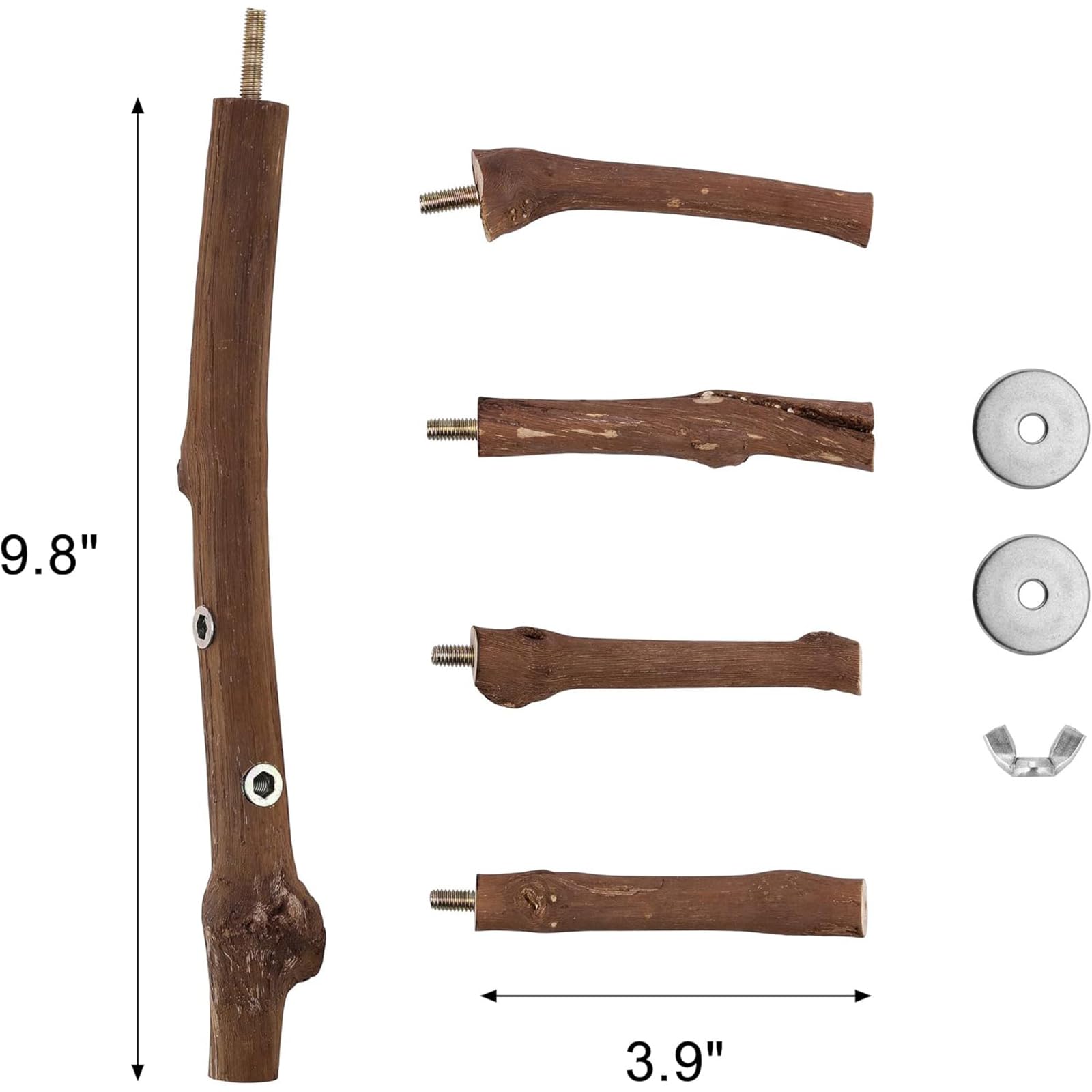 Perchoir naturel pour perruches – Accessoires de cage à oiseaux à suspendre à plusieurs branches, perchoir pour petits perruches, conures, perroquets, cacatúes, Lovebirds