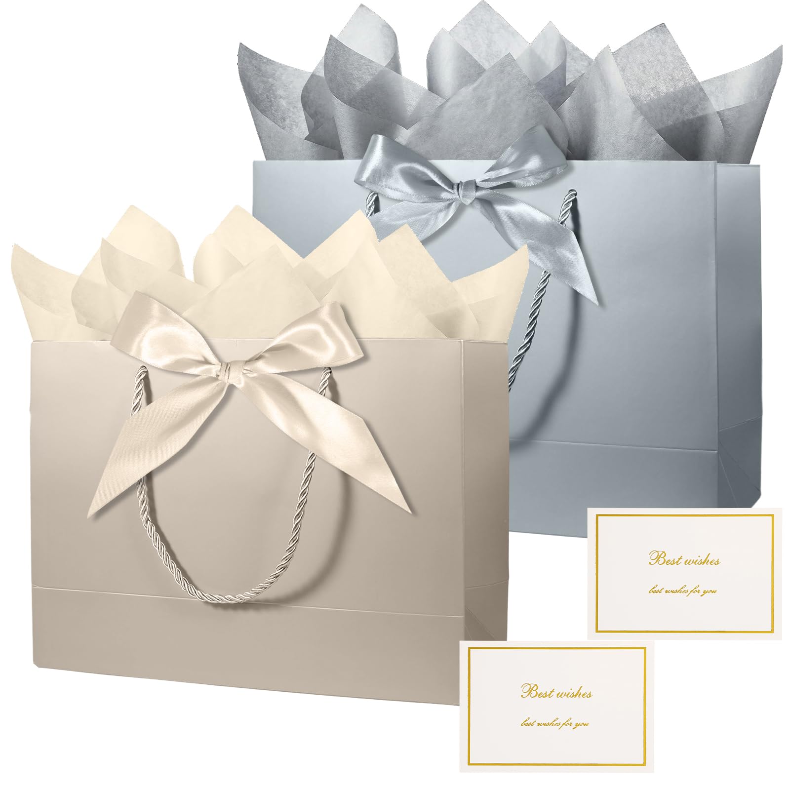 Bliceon 2 Pcs Medium Gift Bags for Presents, Small Gift Bags with Wrapping Paper, Birthday Gifts Bag for Women Men, Celebrations, Birthday Party, Bride Wedding, Valentine's Day (Grey, Champagne)