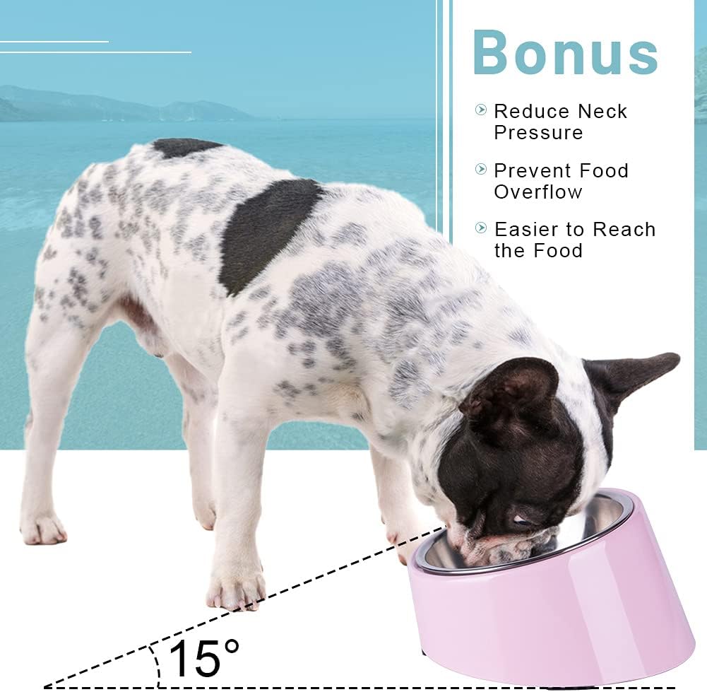 Pet Supplies : Super Design Mess Free 15° Slanted Bowl for Dogs and Cats, Tilted Angle Bulldog Bowl Pet Feeder, Non-Skid & Non-Spill, Easier to Reach Food S/0.5 Cup Light Pink : 