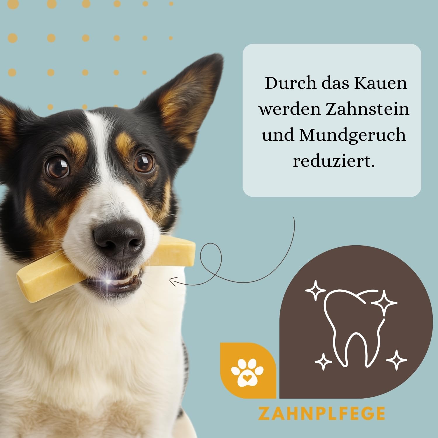 gebrauchte hundebetten Hundebett aus gebrauchtem Rotweinfass main image 0