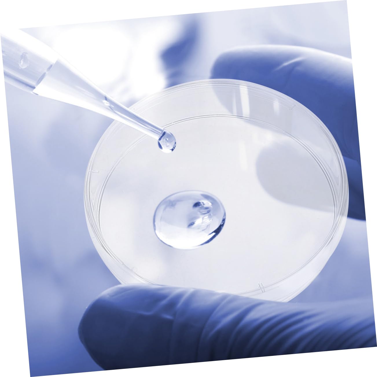 Gatuida 50pezzi Piastre Di Coltura Plastica Trasparente Con Coperchio Per Esperimenti Di Laboratorio Resistenti e Pratiche Per Scuole e Ricerca Scientifica