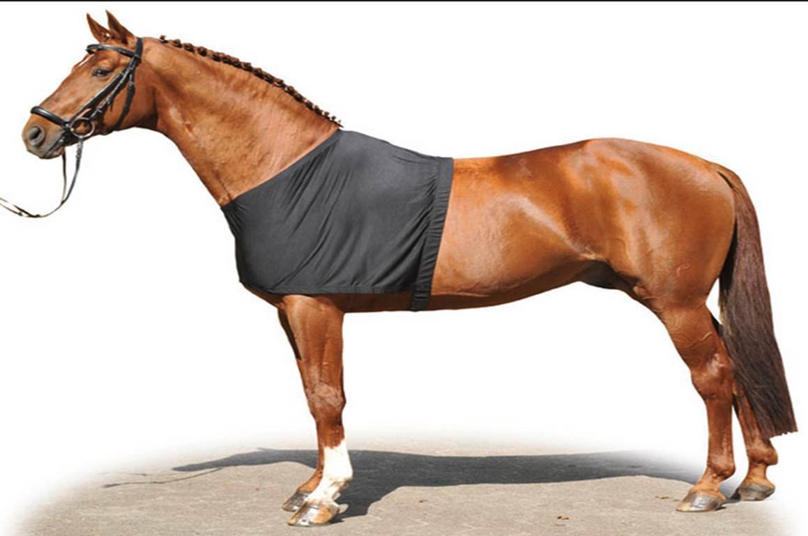 HKM Manta para caballo-793891000655 Negro XL