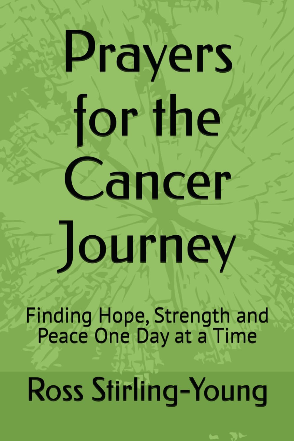 Prayers for the Cancer Journey: Finding Hope, Strength and Peace One Day at a Time