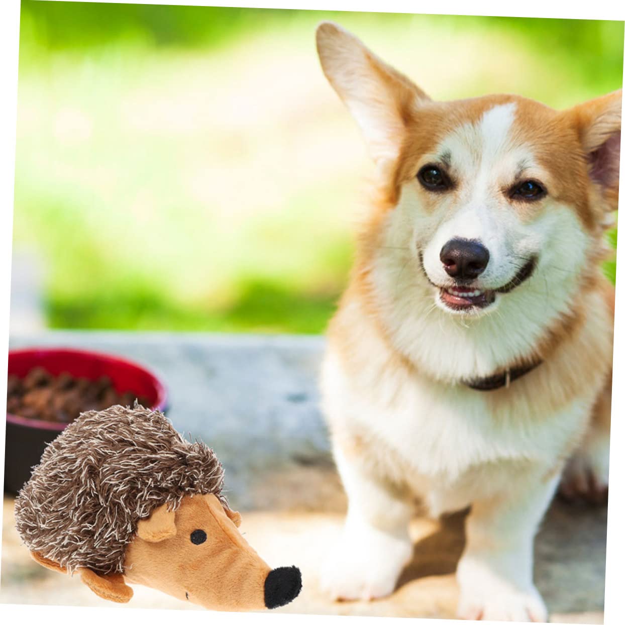 Sosoport 6stücke Teiliges Hundespielzeug Langlebiges Kauspielzeug Für Welpen Interaktives Plüschspielzeug Mit Quietscher Zur Zahnpflege Für Spielvergnügen